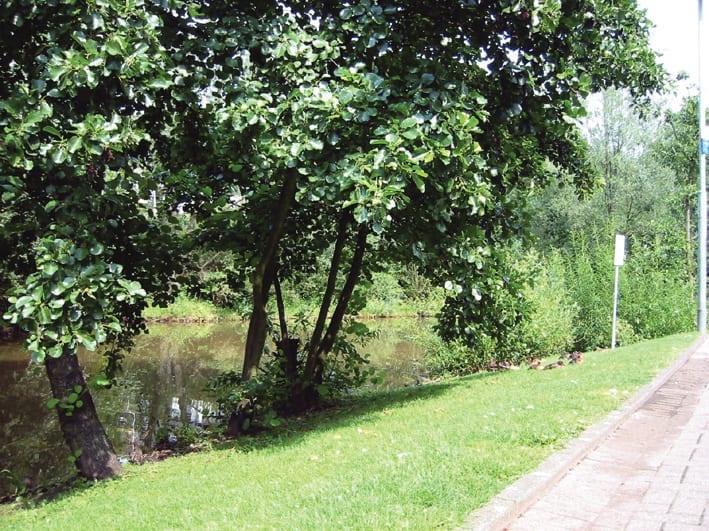 Stadtquartier an der Auermühle in Ratingen